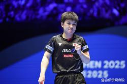 雷速体育下载-瑞典乒乓球队血洗日本乒乓球队，张本智和高光表现的简单介绍