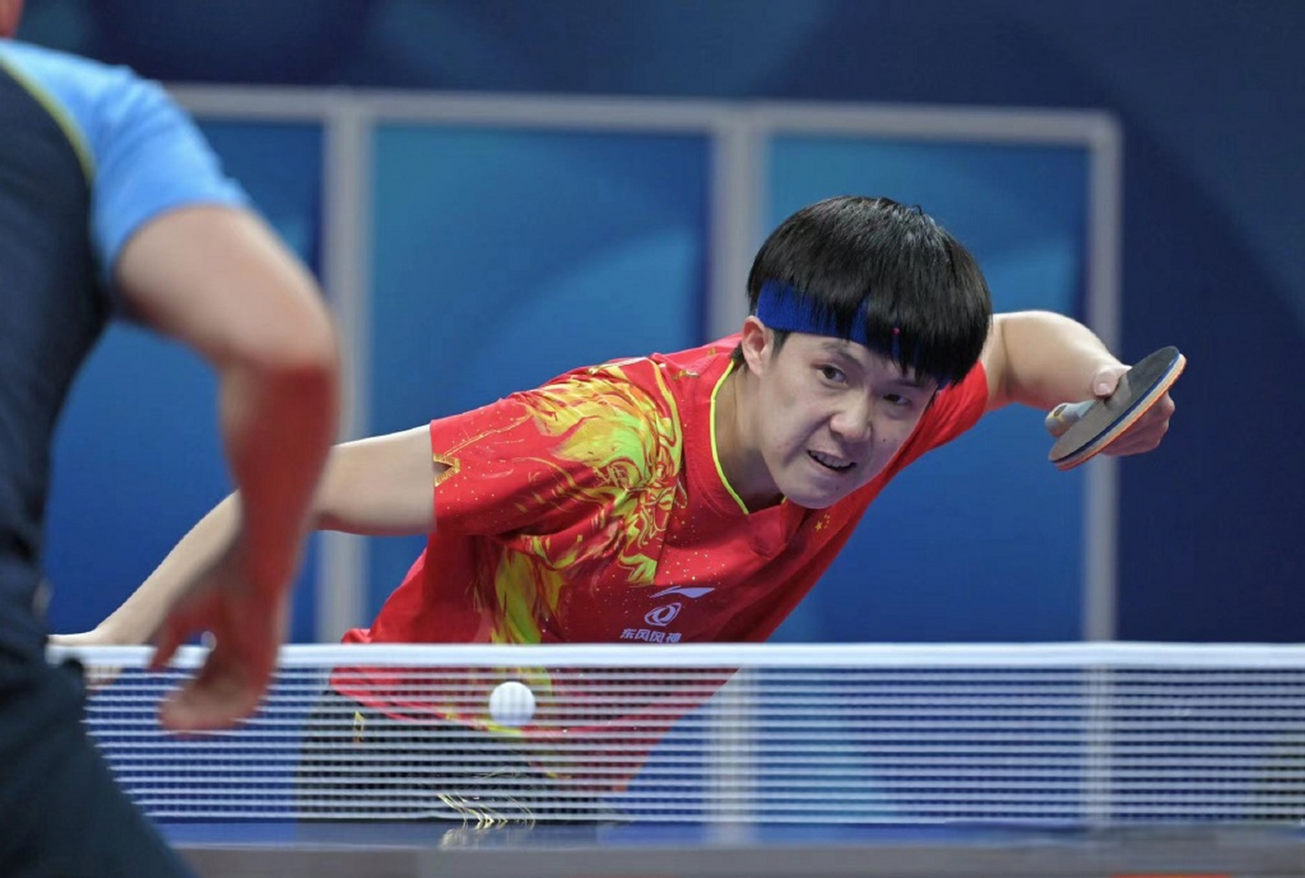 关于惊天逆转！游泳战队挺进四强的信息