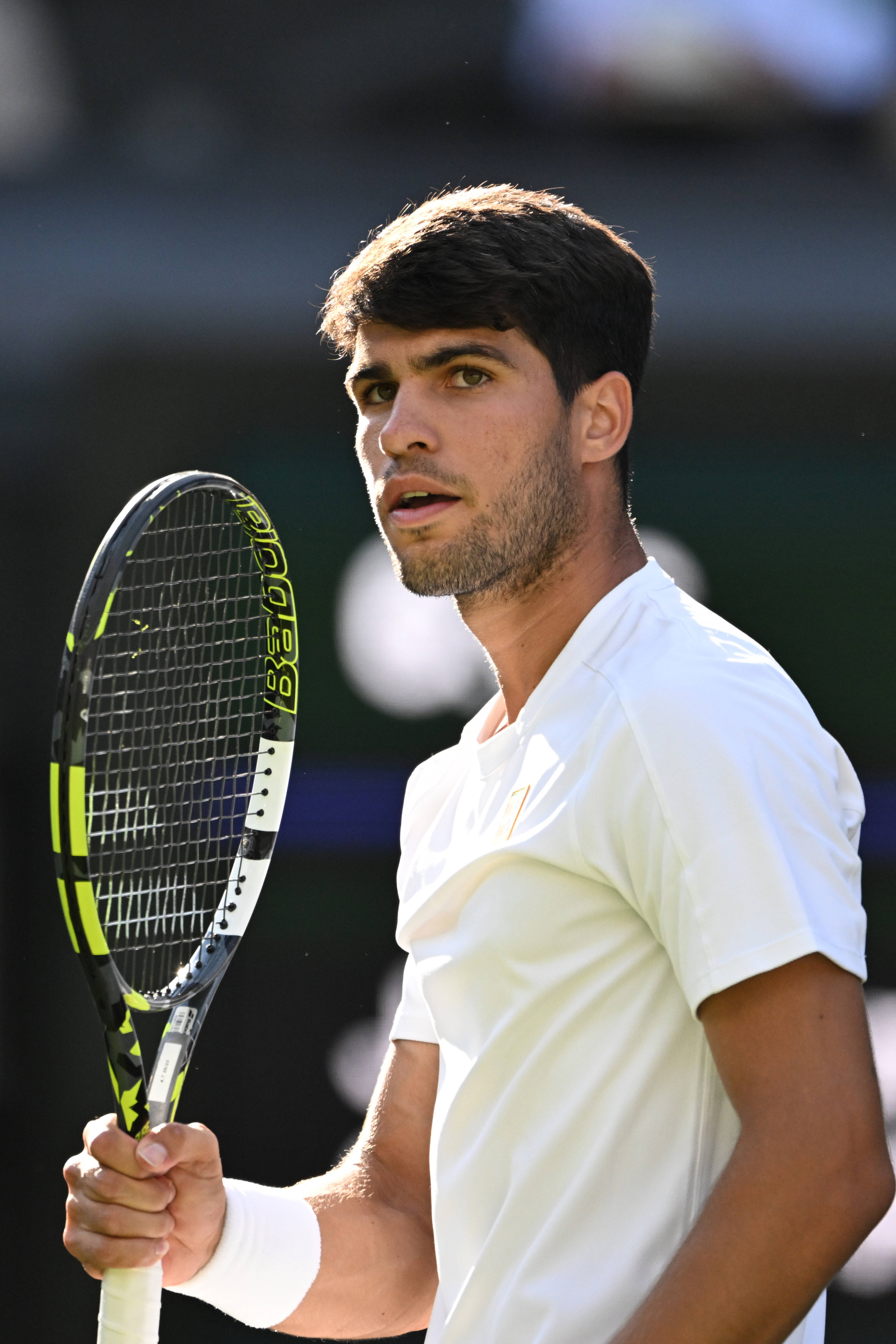 包含温网轻取戴维斯杯，阿尔卡拉斯高光表现的词条